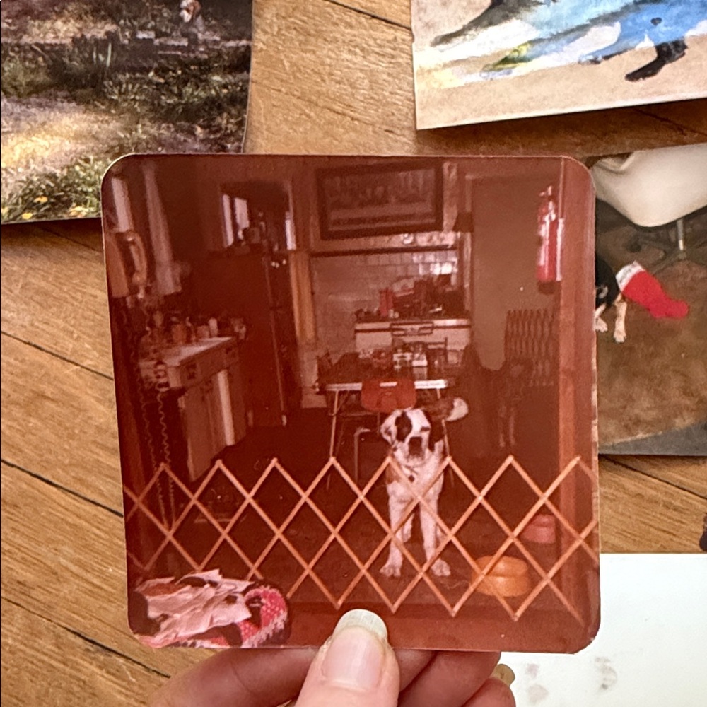 Vintage Photo Collection - Picture 3 of 12